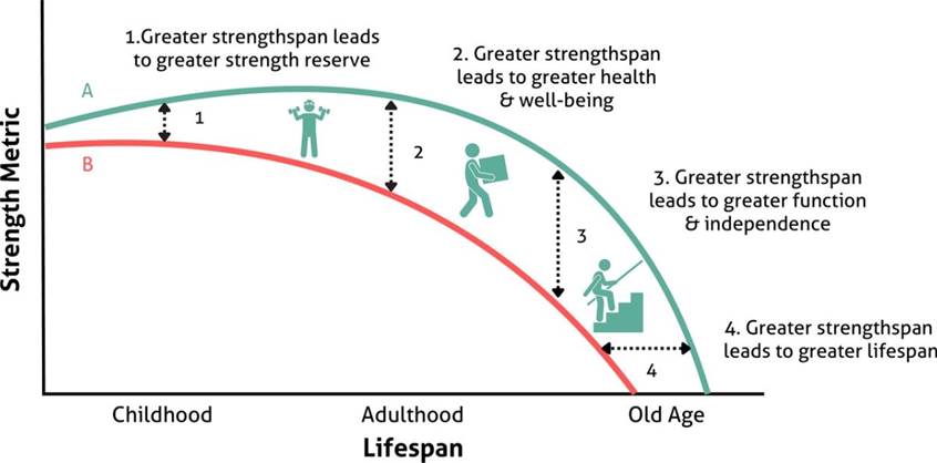 Strengthspan and Lifespan Tips to Maintain Fitness and Well-Being